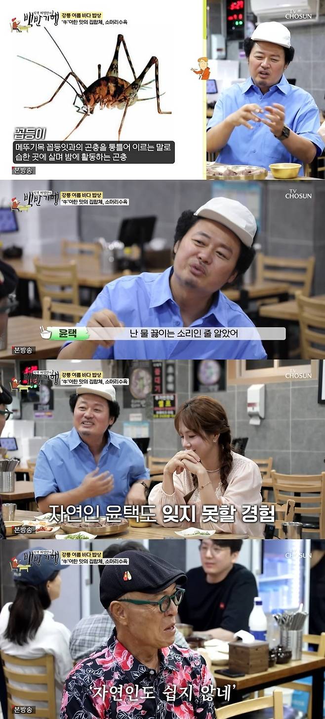 TV조선 ‘식객 허영만의 백반기행’ 캡처