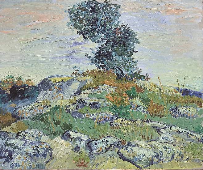 빈센트 반 고흐, 참나무와 바위, 1888년, 55×66㎝, 캔버스에 유화, 휴스턴 미술관, 텍사스, 미국. [그림 | 위키미디어]