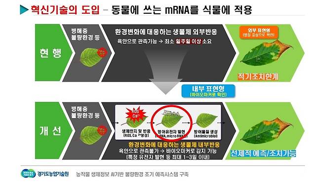생체정보 AI기반 불량환경 대응 체계.
