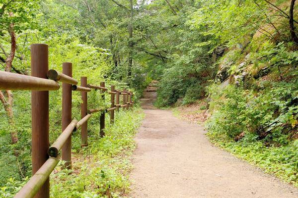 팔공산 수태골탐방로. /환경부 제공