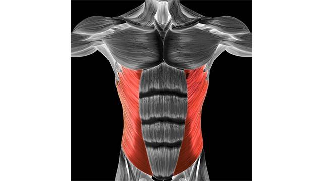 출처 | 게티이미지뱅크