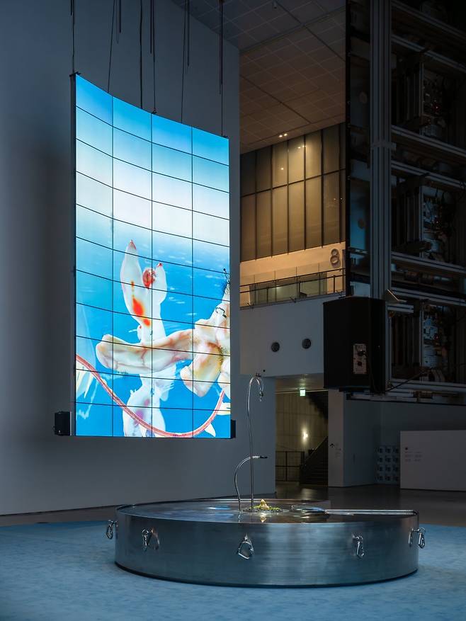 독학으로 디지털 그래픽을 제작해 온 작가는 이번 전시 ‘아가몬 대백과: 외부 유출본’에서 대형 스크린으로 보여지는 영상과 조각 작품을 공개했다. 국립현대미술관 제공