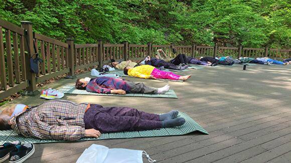 치유의 숲 프로그램 숲 명상 [사진=달성군]