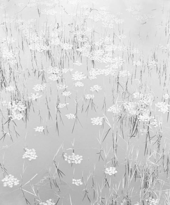 남녘유람, st031, 2020. gelatin silver print.. [사진 민병헌]