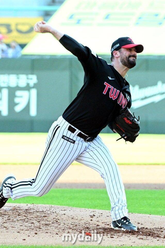 플럿코/마이데일리