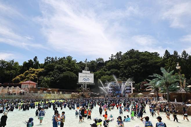 캐리비안베이 파도풀