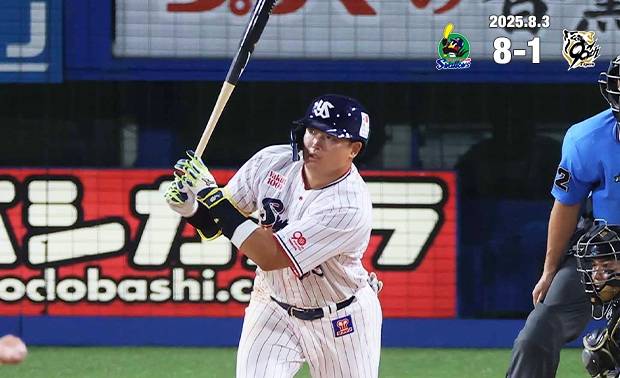 도쿄 야쿠르트 스왈로즈 홈페이지 캡쳐