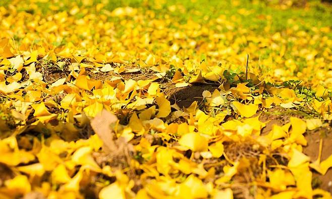 사진=게티이미지뱅크