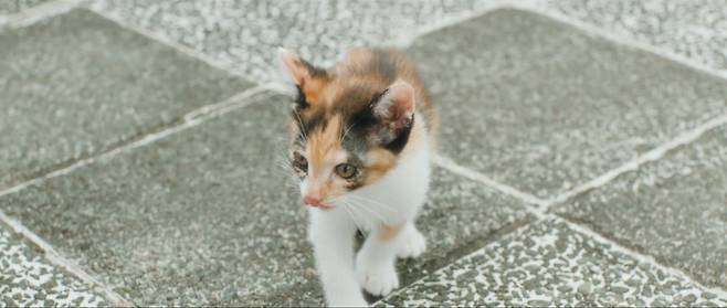 사진=그룹 세이마이네임 'iLy'(일리) MV