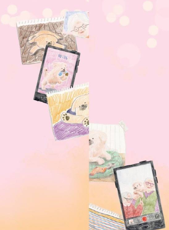 '내일도 산책' 그림을 맡은 윤여준 작가의 일러스트.