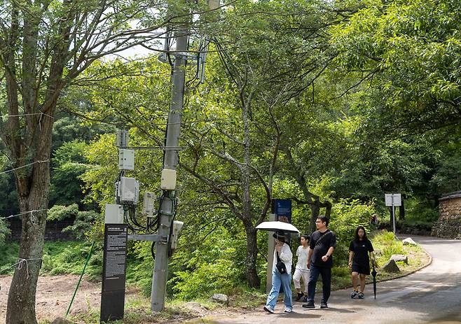 5일 찾은 유네스코 세계유산으로 등재된 '반구천의 암각화' 일대 곳곳에 세워진 전봇대와 복잡한 전선이 미관을 해쳐 지중화 사업이 필요하다는 지적이다. 최지원 기자