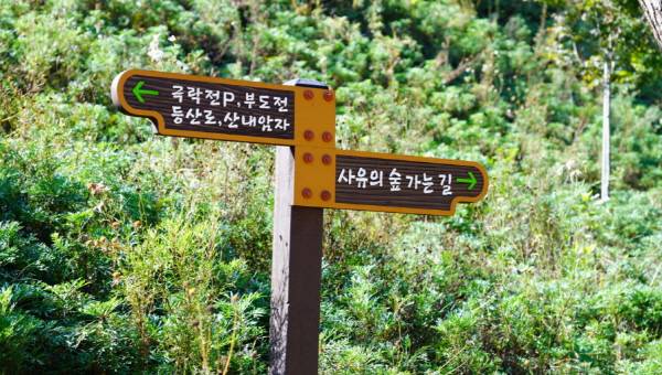 사명대사길 '사유의 숲 가는길' 안내표지판.