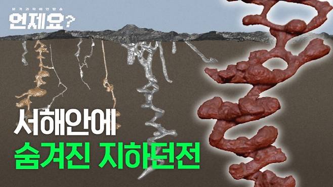 씨즈 제공