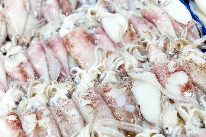 사진=게티이미지뱅크