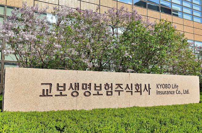 교보생명이 사회복지사에 맞춤형 서비스를 제공한다./사진=교보생명