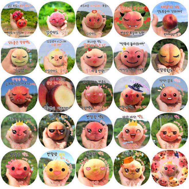 [네이버스마트스토어 도도명가 갈무리]