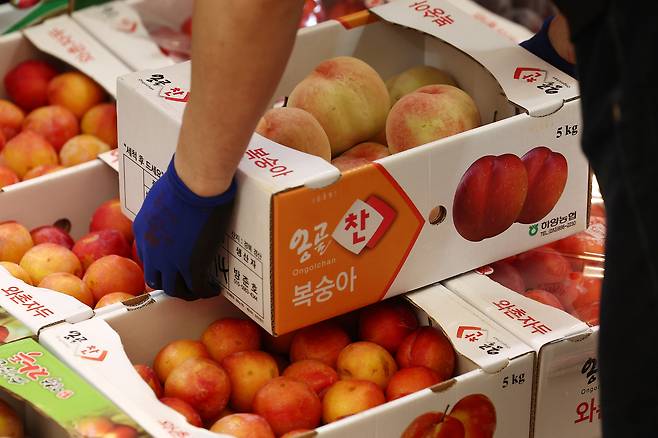 서울 동대문구 청량리종합시장 한 가게에 복숭아가 진열돼 있다. [연합]