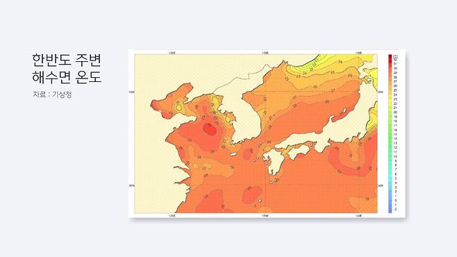최근 한반도 주변 해수면 온도 [연합뉴스TV 제작]