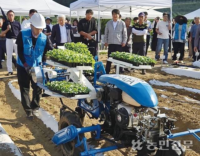 7월30일 농촌진흥청이 전북 무주의 한 배추밭에서 개최한 ‘배추 아주심기(정식) 기계화 기술 현장 연·전시회’에서 한 작업자가 ‘자동 배추 정식기’로 배추 모종을 심고 있다.