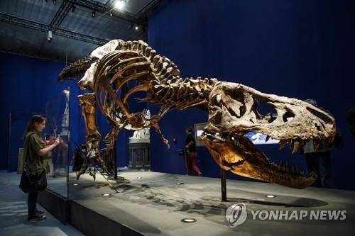 티라노사우루스 렉스 화석 기사 내용과 직접 관련 없음. [EPA 연합뉴스 자료사진. DB 및 재판매 금지]