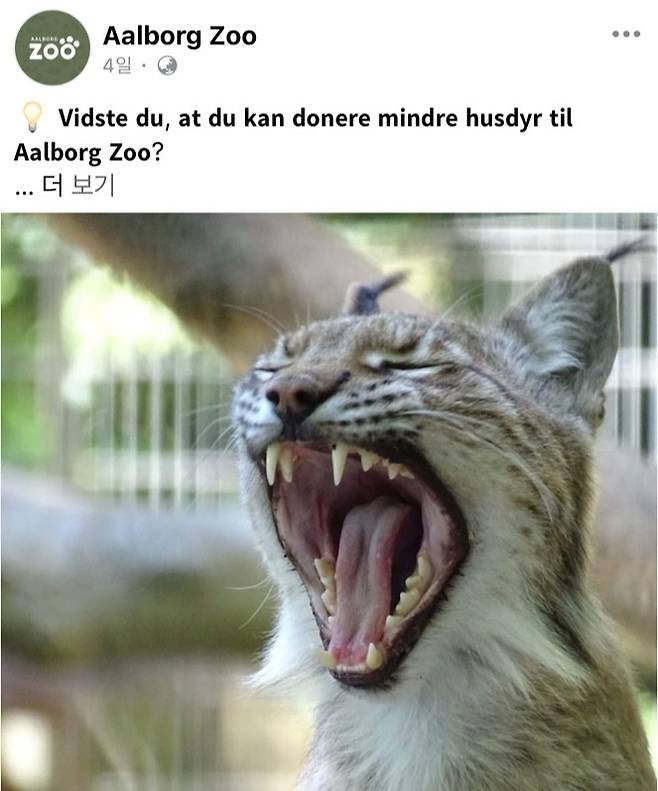 먹이 기증을 요청하는 게시물 [올보르 동물원 페이스북 캡처. 재판매 및 DB 금지]
