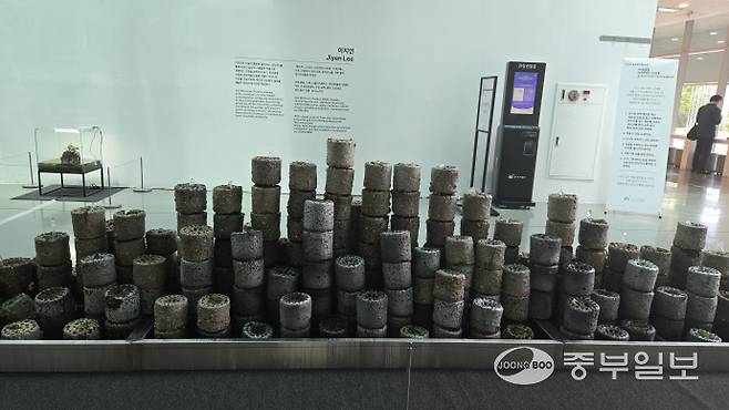 이지연 작가의 '잿소리'. 임창희기자