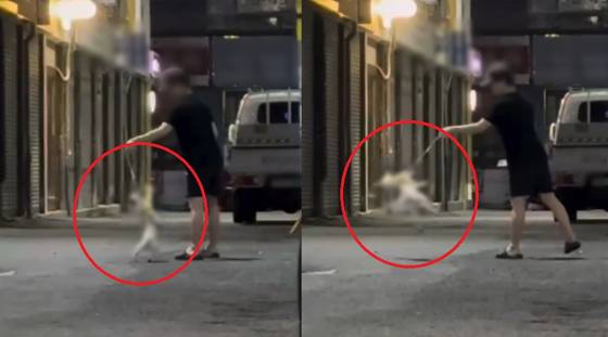 부산의 한 골목에서 한 남성이 강아지를 학대하는 모습이 포착됐다. 〈사진=소셜미디어 캡처〉
