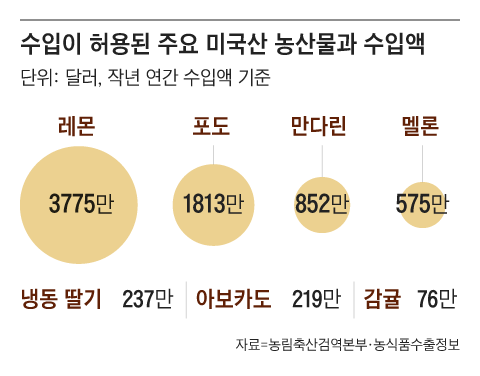 그래픽=이진영