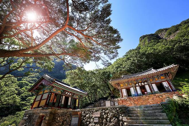 664년 전 고려 31대 임금 공민왕은 안동으로 피신했다. 홍건적이 개경을 점령했다. 훗날 몽골 세계제국 원(元)을 무너뜨리는 세력이다. 봉화 청량산에 산성을 쌓고 결전에 대비했다. 회백색 바위 절벽을 좌우에 거느린 청량사가 그곳에 있다. 절집 ‘琉璃寶殿(유리보전)’ 현판 글씨는 공민왕이 썼다고 전해진다./주민욱 영상미디어 기자