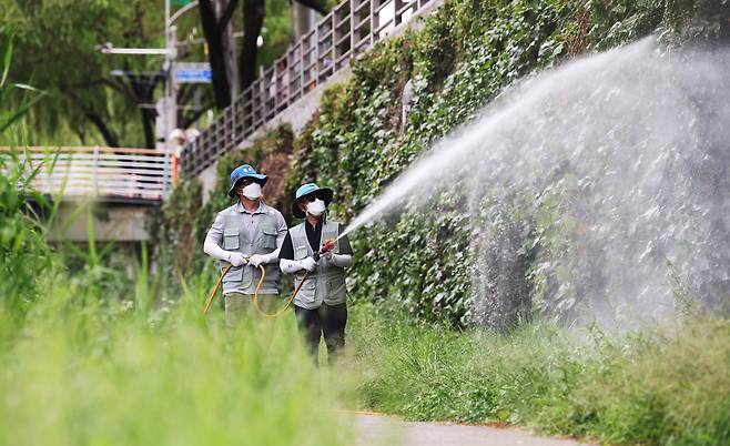 지난해 7월 31일 오후 경기도 수원시 팔달구 수원천에서 팔달구보건소 관계자들이 일본뇌염과 말라리아 등 모기 매개 질병 예방을 위해 방역을 하고 있다. /연합뉴스
