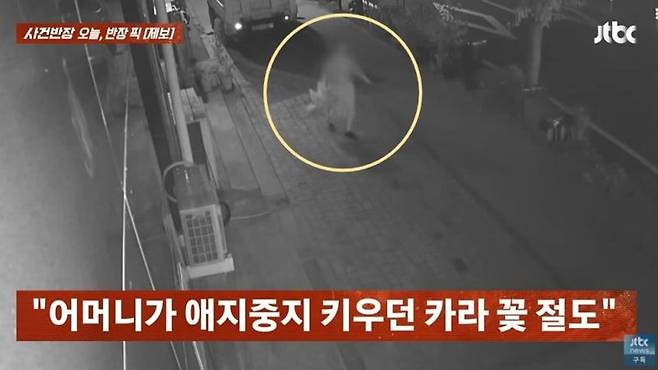 충남 홍성군에서 한밤중 벌어진 화분 절도 사건의 CCTV 영상이 공개됐다. /사진=JTBC '사건반장' 캡처
