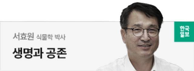 서효원