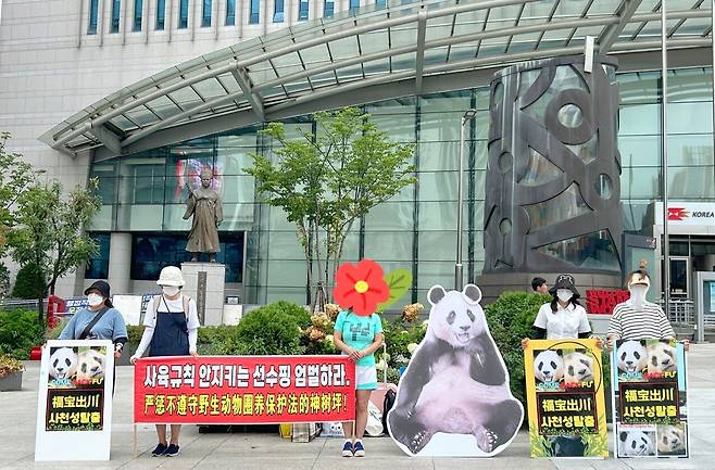 푸바오 팬들이 6일 전국 3개 도시에서 진행한 제14차 컴백푸 불씨 캠페인