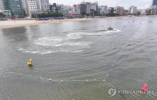 상어 방지 그물망 드리운 해수욕장 2024년 7월 17일 경북 포항시 영일대해수욕장에 상어 방지 그물망이 설치돼 있다. [연합뉴스 자료사진]