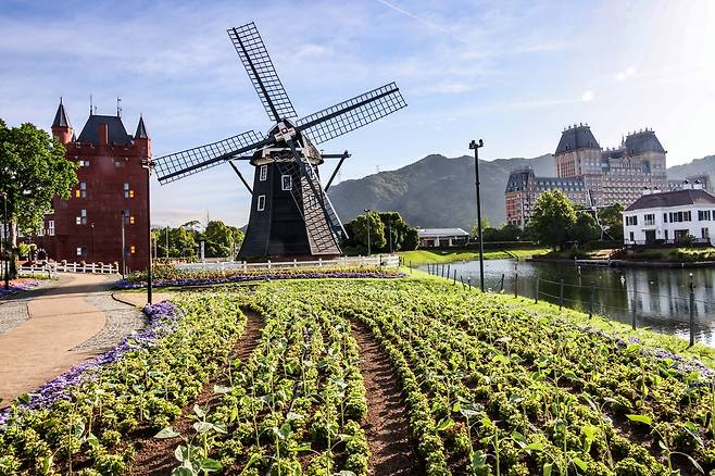 플라워로드 [사진/백승렬 기자]