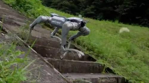 유니트리의 4족 로봇견 [웨이보 캡처. 재판매 및 DB금지]