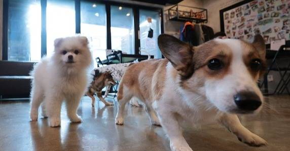 사진은 기사 본문과 관련이 없습니다.[사진 = 연합뉴스]