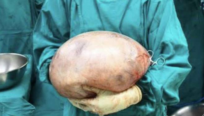 사진출처=채널7