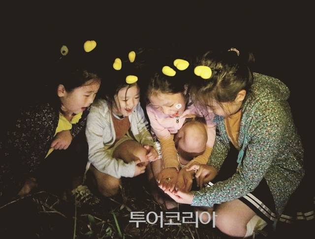 무주반딧불축제 / 사진-무주군 제공