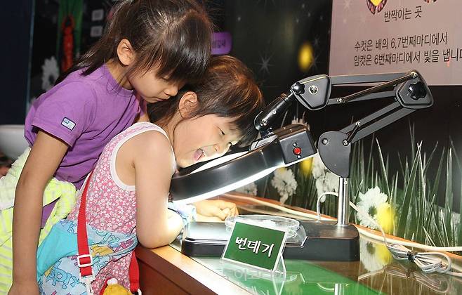 무주반딧불축제 생태 체험프로그램 '반딧불이신비탐험'