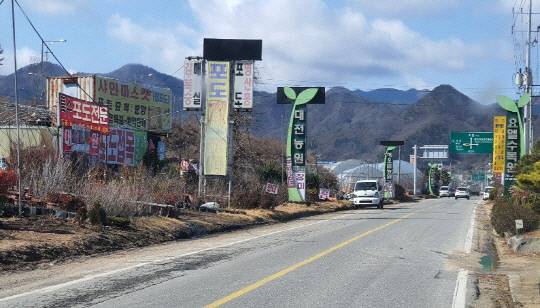 옥천군이원면내 도로변묘목농원집성모습.옥천군제공