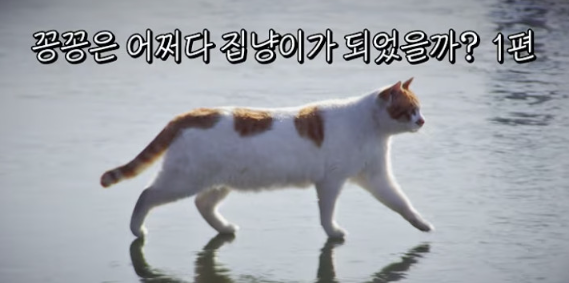 ⓒ유튜브 영상 갈무리