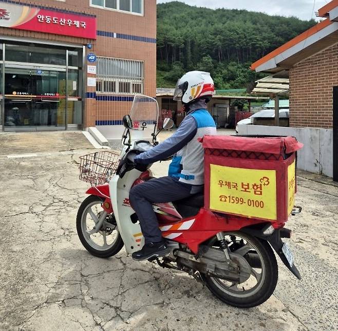 ⓒ뉴시스