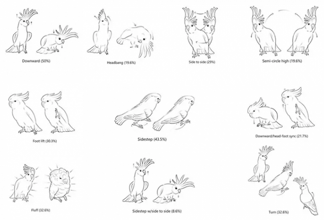 가장 흔히 기록된 코카투의 10가지 춤 동작. Lubke et al 제공.