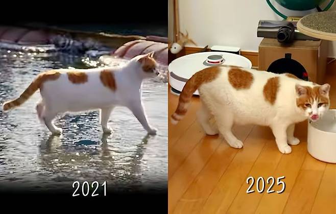 /사진=유튜브 채널 ‘5275 오이칠오’ 캡처