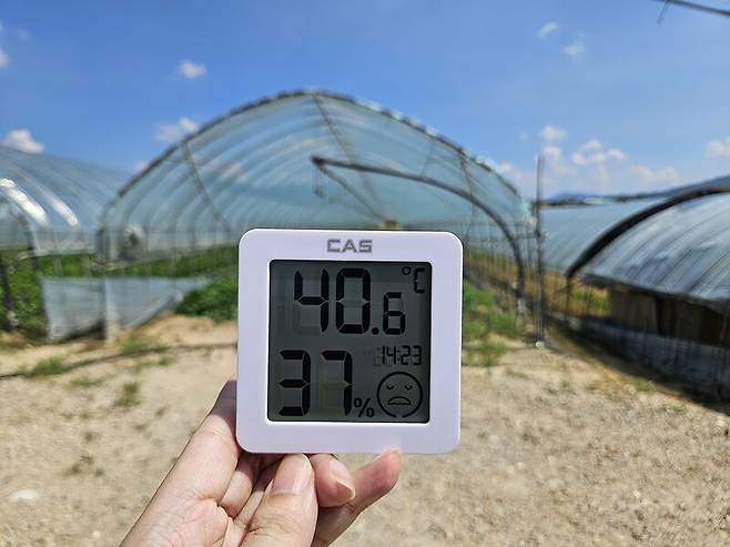 29일 경기도 포천 니마르(가명)가 일하는 채소농장 인근 온도가 낮 2시23분 기준 40.6도까지 치솟았다. 임재우 기자