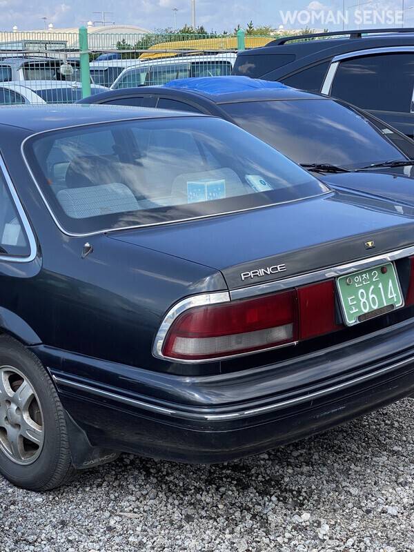 사진 박찬용 제공