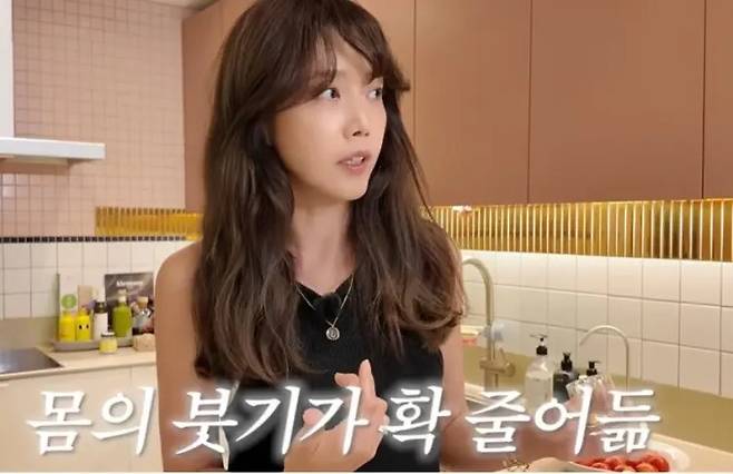 채정안 유튜브 채널