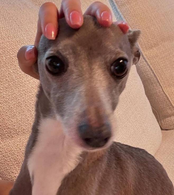 인스타그램 @aerichadesu