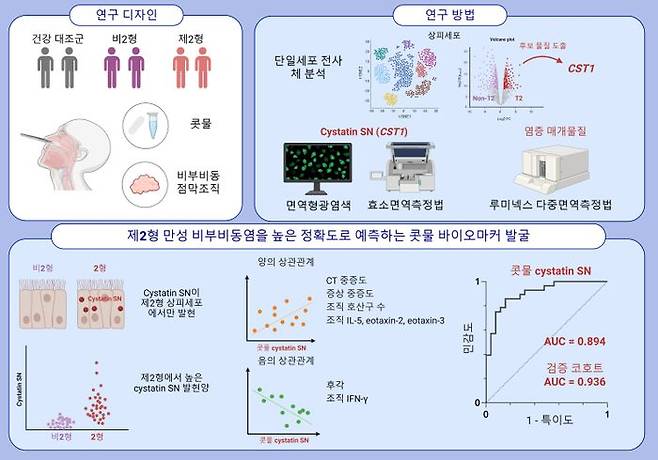 제2형 만성 비부비동염 진단 관련 연구 내용 ⓒ세브란스병원